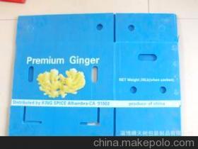 淄博晴天樹包裝制品 專業(yè)生產(chǎn)PP中空箱，高品質(zhì)塑料箱的選擇